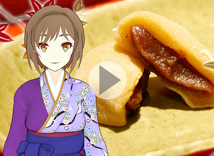 山陰銘菓　とち餅